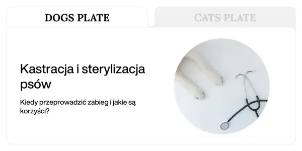 Łapy psa i stetoskop symbolizują troskę o zdrowie, a tekst informuje o zabiegu sterylizacji psa.