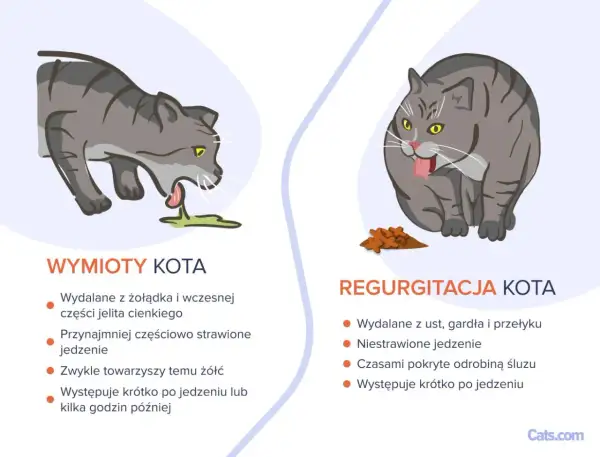 Ilustracja porównuje wymioty kota z regurgitacją. Nie opisuje, jak wywołać wymioty u kota, ale pokazuje różnice w objawach.