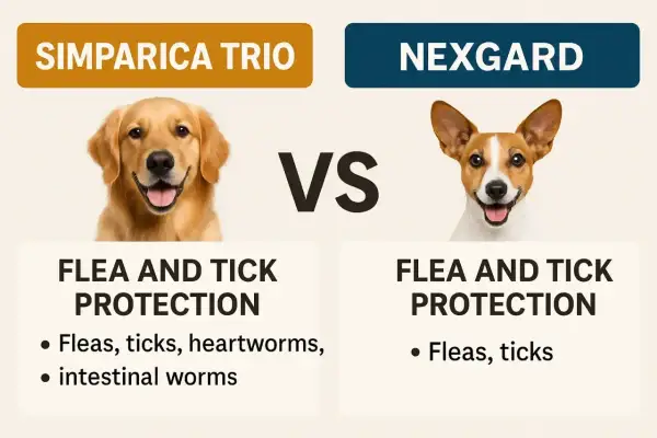 Porównanie Simparica Trio i Nexgard: tabletki na kleszcze dla psa. Simparica Trio chroni przed kleszczami, pchłami, nicieniami i robakami.