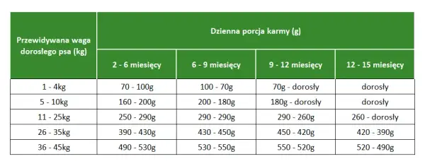 Czy szczeniak może jeść karmę dla dorosłych psów i co to oznacza dla zdrowia?