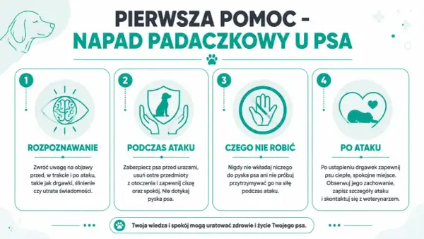 Pierwsza pomoc w przypadku padaczki u psa: rozpoznawanie, postępowanie podczas i po ataku, czego nie robić. Twoja wiedza ratuje życie.